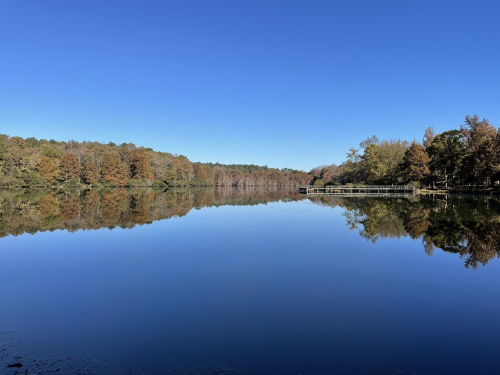 A calm lake reflecting a clear blue sky and autumn-colored trees along the shore.