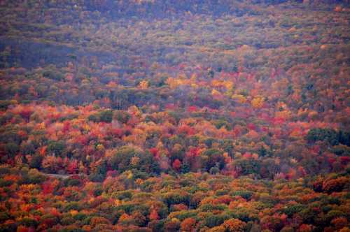 A vibrant landscape of autumn foliage, showcasing a mix of red, orange, and yellow trees across rolling hills.