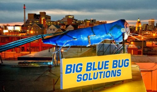 A large blue insect sculpture on a rooftop with a sign reading "BIG BLUE BUG SOLUTIONS" against a city skyline.