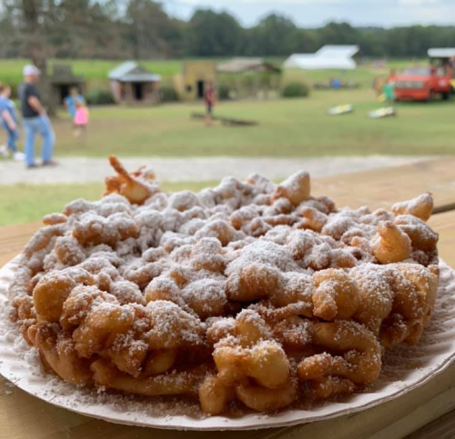 A plate of funnel cake dusted with powdered sugar, set outdoors with people and a farm in the background.