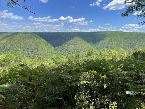 Lush green mountains under a blue sky with fluffy clouds, viewed from a forested area in the foreground.