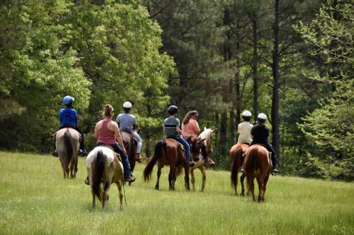 A group of riders on horseback walking through a green field surrounded by trees.