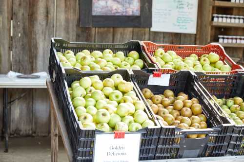 Baskets of Golden Delicious and other apples displayed at a market, set against a rustic wooden backdrop.