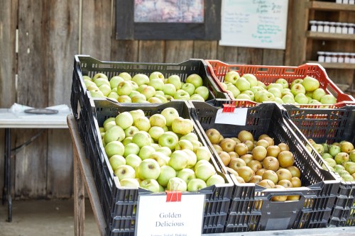 Baskets of Golden Delicious and other apples displayed at a market, set against a rustic wooden backdrop.