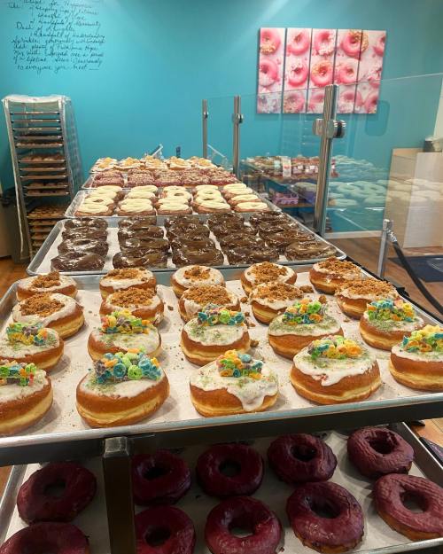 A display of colorful donuts in a bakery, featuring various toppings and flavors on a bright blue background.