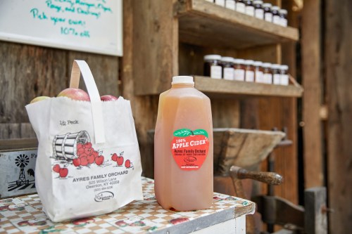 A bag of apples next to a jug of apple cider on a rustic table in a farm setting.