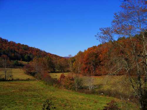 A scenic landscape featuring rolling hills, vibrant autumn foliage, and a clear blue sky.