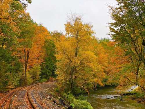 A scenic view of autumn trees with vibrant orange leaves beside a winding river and railway tracks.