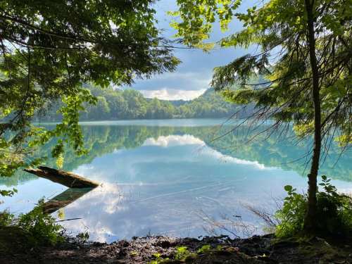 A serene lake surrounded by lush greenery, reflecting trees and clouds in calm waters under a blue sky.