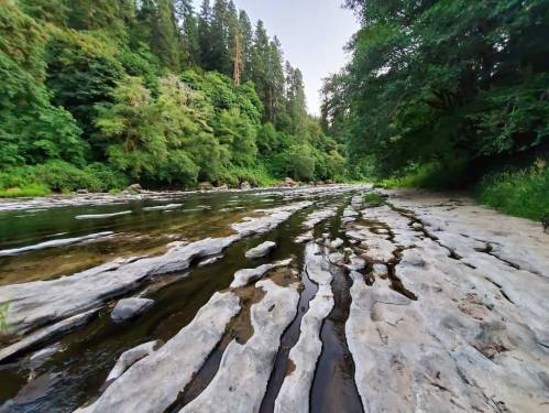 A serene riverbank with smooth, layered rocks and lush greenery lining the water's edge under a clear sky.