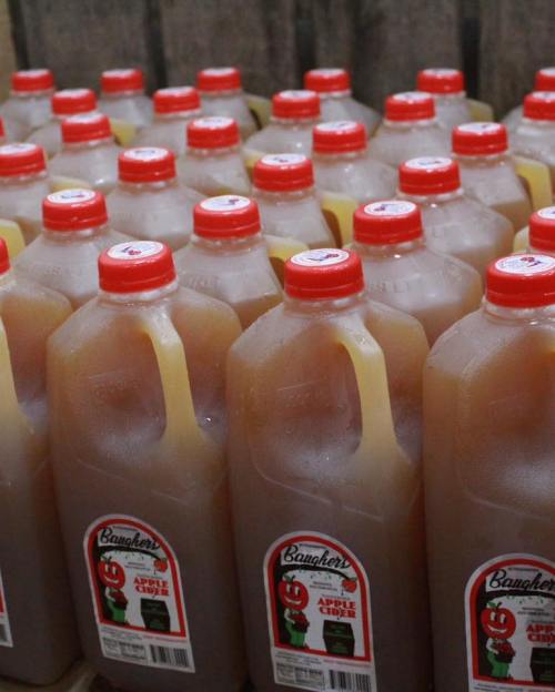 A collection of apple cider jugs with red caps, arranged closely together on a wooden surface.