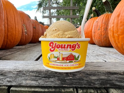 A cup of Young's homemade ice cream sits on a wooden table, surrounded by pumpkins in a fall setting.