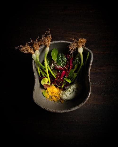 A dark bowl holds fresh greens, root vegetables, and vibrant garnishes, artfully arranged on a wooden surface.