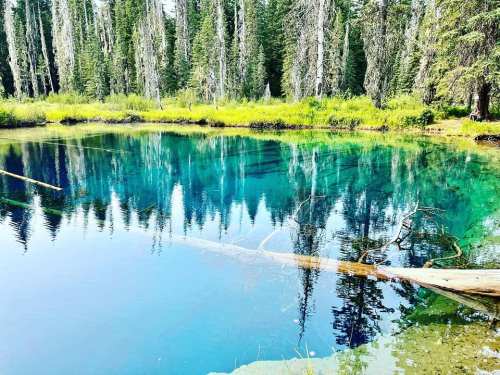 A serene blue pond surrounded by tall trees and lush greenery, reflecting the vibrant colors of nature.