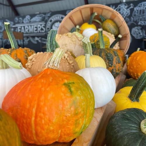 A variety of colorful pumpkins in a wooden basket, showcasing different shapes and sizes.