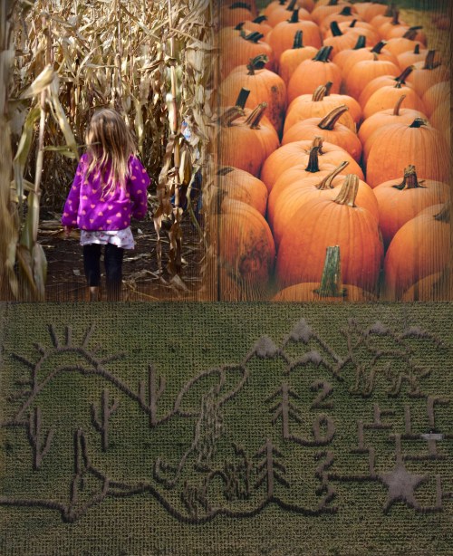 A collage featuring a child in a corn maze, pumpkins, and a cornfield maze design with mountains and sun.