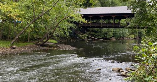 A serene river scene featuring a covered bridge surrounded by lush greenery and calm waters.
