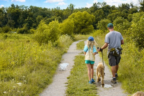 A child and an adult walk a dog along a scenic path surrounded by greenery and trees on a sunny day.