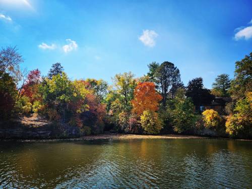 A serene lake scene with vibrant autumn trees reflecting in the water under a clear blue sky.