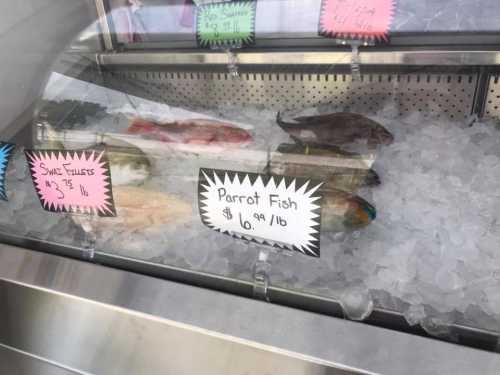 Display case of fresh fish on ice, with price tags for various types, including parrot fish at $6.99 per pound.