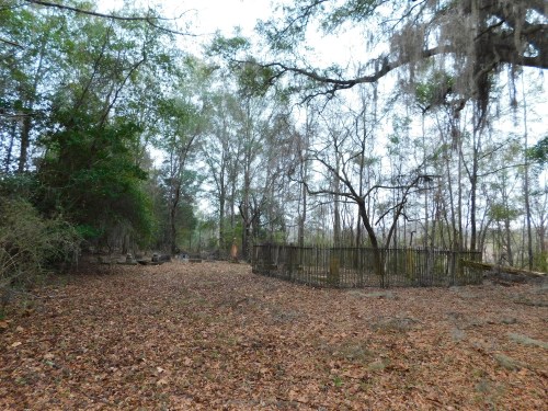 A wooded area with bare trees, scattered leaves, and a wooden fence in the background, creating a serene, natural scene.
