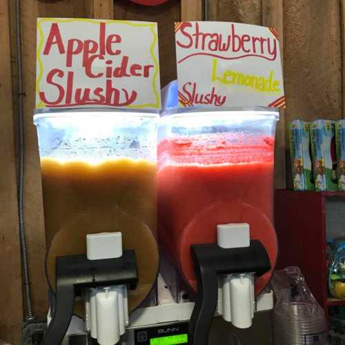 Two slushy dispensers labeled "Apple Cider Slushy" and "Strawberry Lemonade Slushy," with vibrant colors and cups.