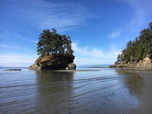 A serene beach scene with a small island of trees, calm water, and a clear blue sky.