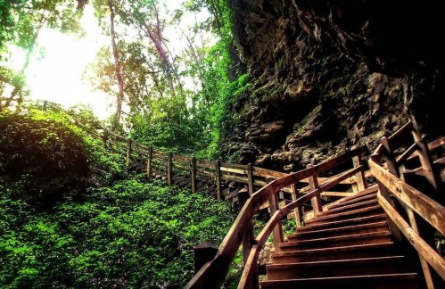 A winding wooden staircase leads through lush greenery and rocky terrain, illuminated by soft sunlight.
