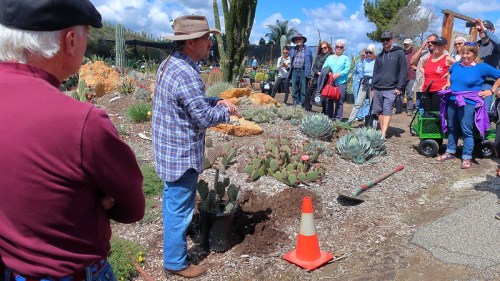 A group of people watches a man in a hat demonstrating planting techniques in a cactus garden.