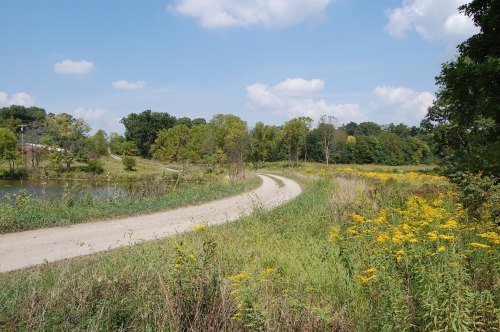 A winding dirt path through a lush landscape with trees, a pond, and wildflowers under a blue sky.