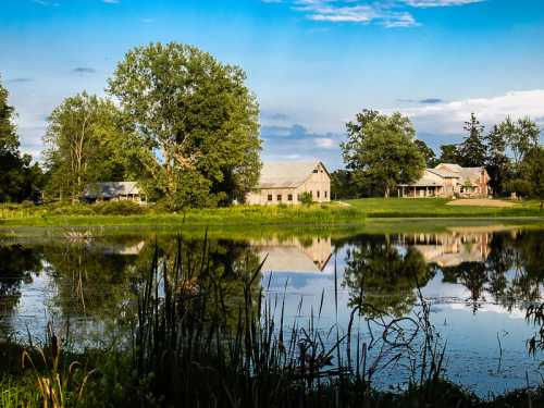 A serene landscape featuring a calm pond reflecting trees and rustic buildings under a blue sky.