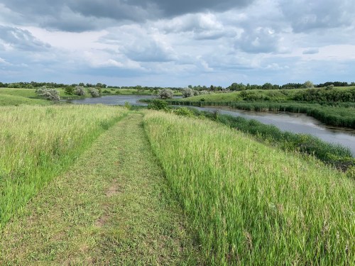 A grassy path leads through lush greenery beside a calm river under a cloudy sky.