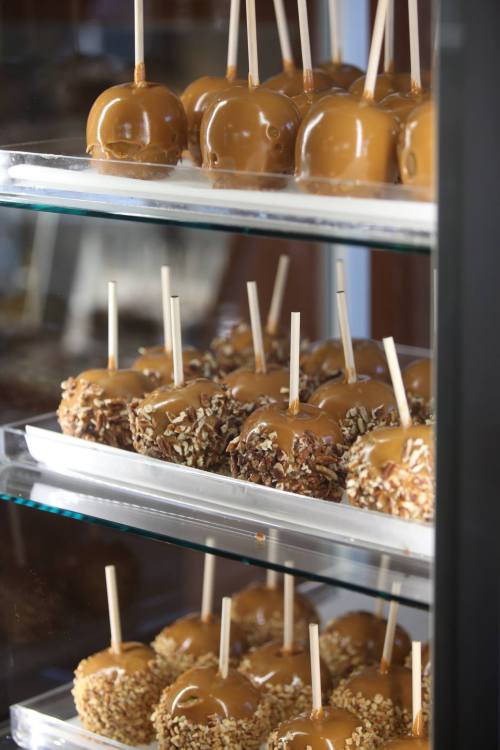 A display case filled with caramel apples and caramel-covered apples rolled in nuts, all on sticks.