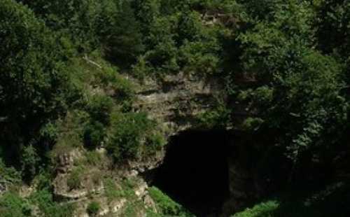 A dark cave entrance surrounded by lush green trees and rocky terrain.