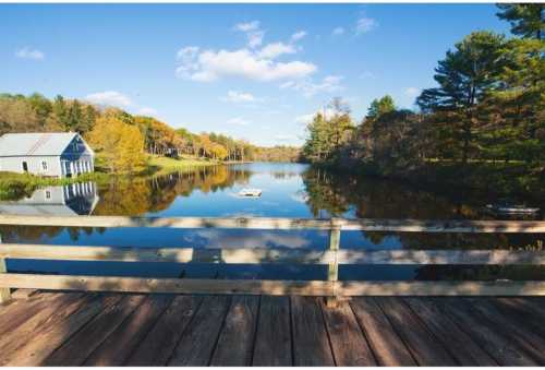 A serene lake view with a wooden dock, surrounded by trees and a blue sky with fluffy clouds.