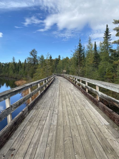 A wooden boardwalk curves through a lush green landscape beside a calm body of water under a blue sky.