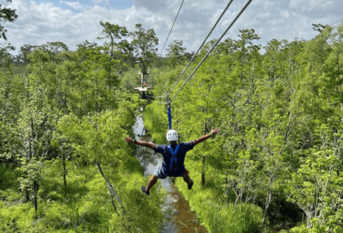 A person zip-lining over a lush green forest with arms outstretched, surrounded by trees and a winding stream below.