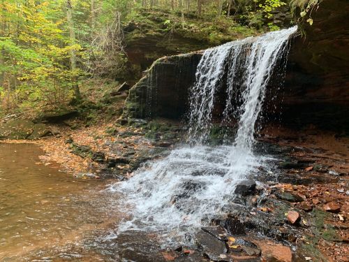 A small waterfall cascades over rocks into a serene pool, surrounded by autumn foliage and forest greenery.