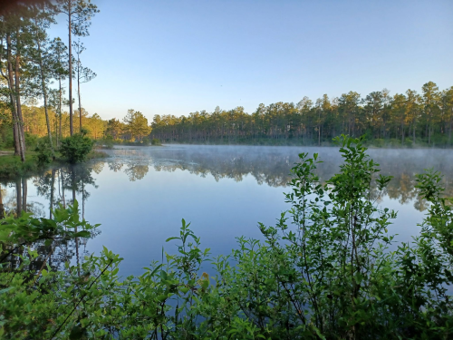 A serene lake surrounded by trees, with morning mist rising from the water under a clear blue sky.
