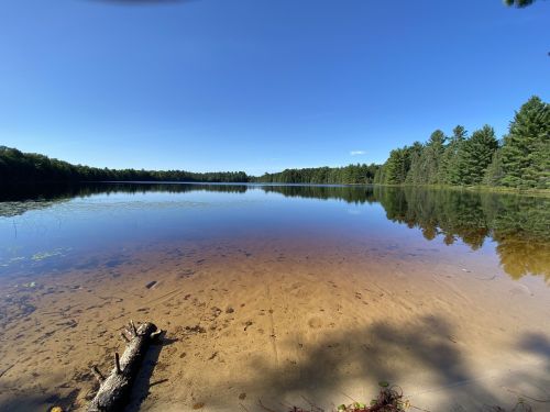 A serene lake surrounded by trees, with clear water reflecting the blue sky and sandy shore in the foreground.