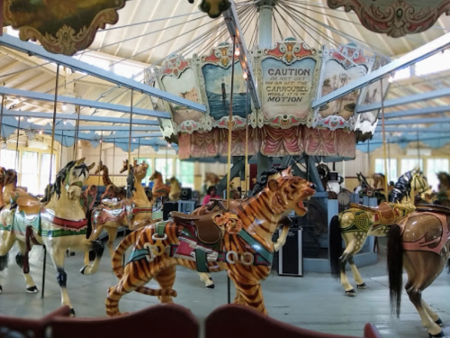 A vintage carousel with intricately painted horses and a tiger, set in a bright, open pavilion.