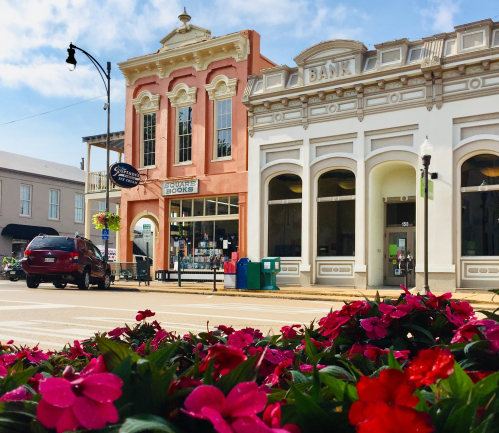A charming street scene featuring a pink building with a bookstore and a white bank, framed by colorful flowers in the foreground.
