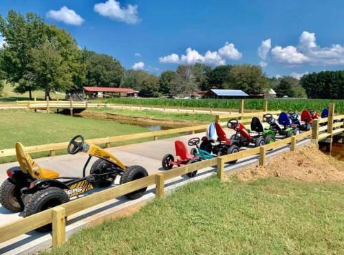 A row of colorful go-karts lined up on a path near a grassy area and trees under a blue sky with clouds.