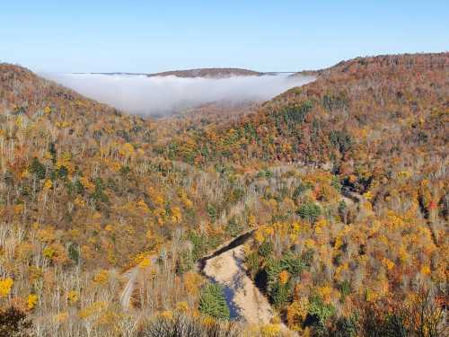 A scenic view of autumn-colored mountains with fog in the valley, showcasing vibrant foliage and winding roads.