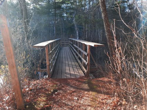 A wooden bridge surrounded by trees, leading over a small stream in a serene, natural setting.