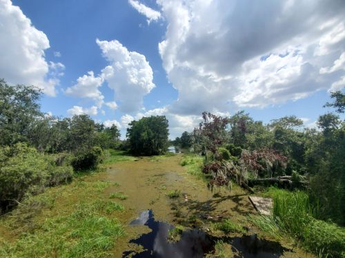 Lush green landscape with water, trees, and a bright blue sky dotted with fluffy clouds.