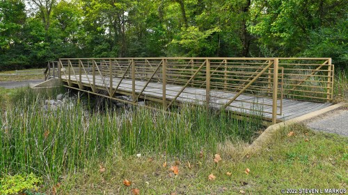A wooden bridge with a metal railing spans a small stream, surrounded by lush greenery and tall grass.
