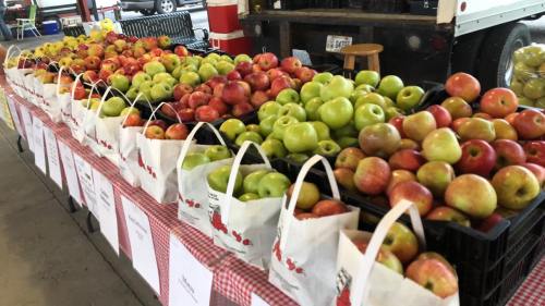 A market display featuring various types of apples in baskets on a checkered tablecloth.