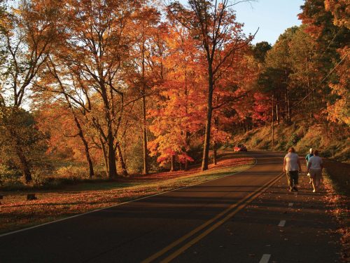 Two people walk along a tree-lined road, surrounded by vibrant autumn foliage in warm sunset light.
