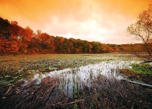 A serene lake surrounded by autumn foliage, with an orange sky reflecting on the water's surface.